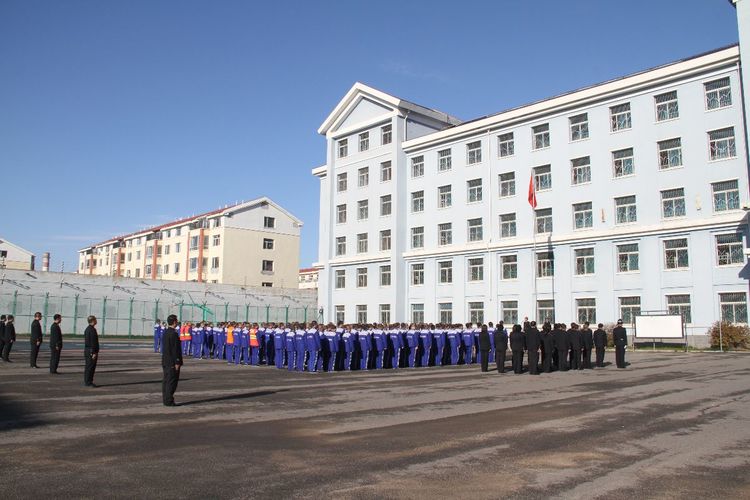 5be0db88e02f1.jpg c834b4c6c9d00001f3461da3180c1852.jpg