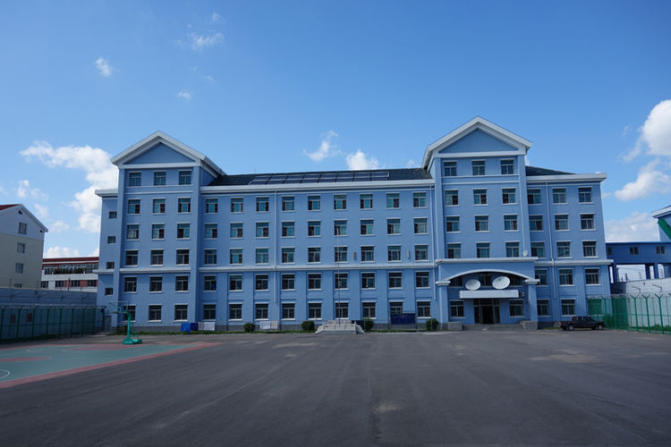 5be962535facf.jpg c8017f7bea80000143c7d52712701483.jpg